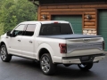 2016 Ford F150 back