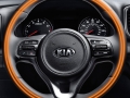 2017 Kia Sportage heated steering wheel